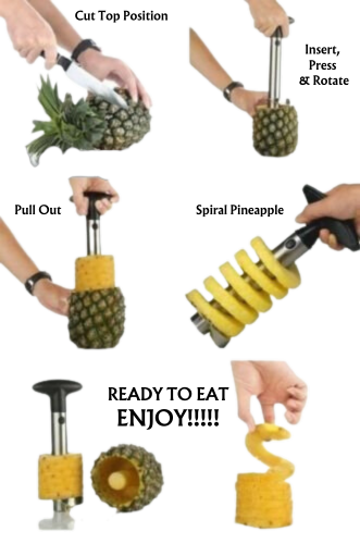 LTS FAFA Ananas Trancheuse En Acier Inoxydable Fruit Corer Peeler Cutter  Cuisine Outil Gadget